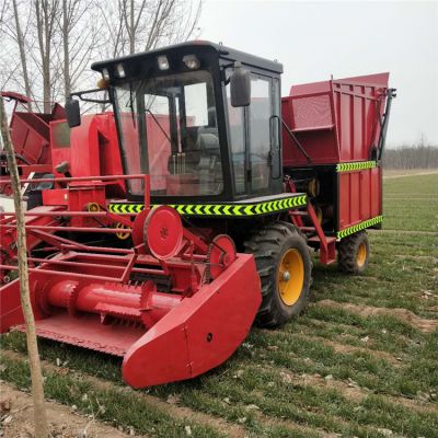 中国畜牧渔业饲料供应商 价格策略与市场格局分析