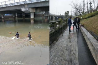 区畜牧局重拳出击 多措并举开展渔业“打非”专项行动，规范畜牧渔业饲料销售市场