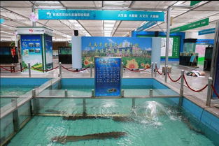 省钱又羡慕！这些网友喜获2018长春农博会免费门票，畜牧渔业饲料销售攻略一网打尽