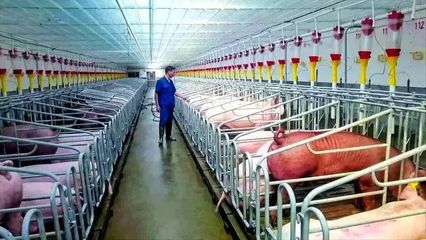 “新”潮涌动 活力迸发——随县民营经济一线观察之畜牧渔业饲料销售